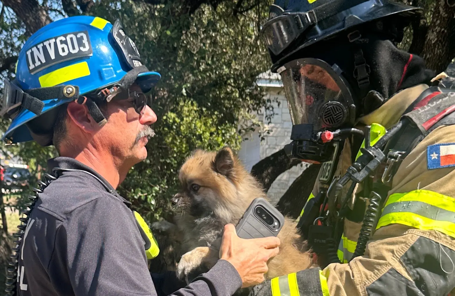 Firemen rescuing puppy